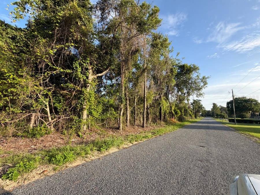 Property photo for NE 160TH AVE, Williston, FL