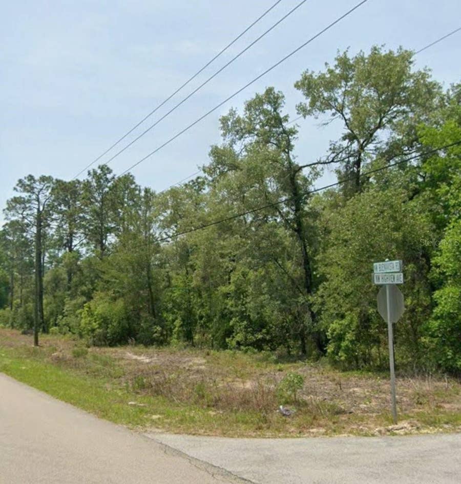 Property photo for 00 NW HIGHVIEW AVENUE, Dunnellon, FL