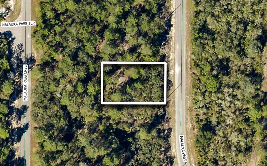 Property photo for TBD MALAUKA PASS, Ocklawaha, FL