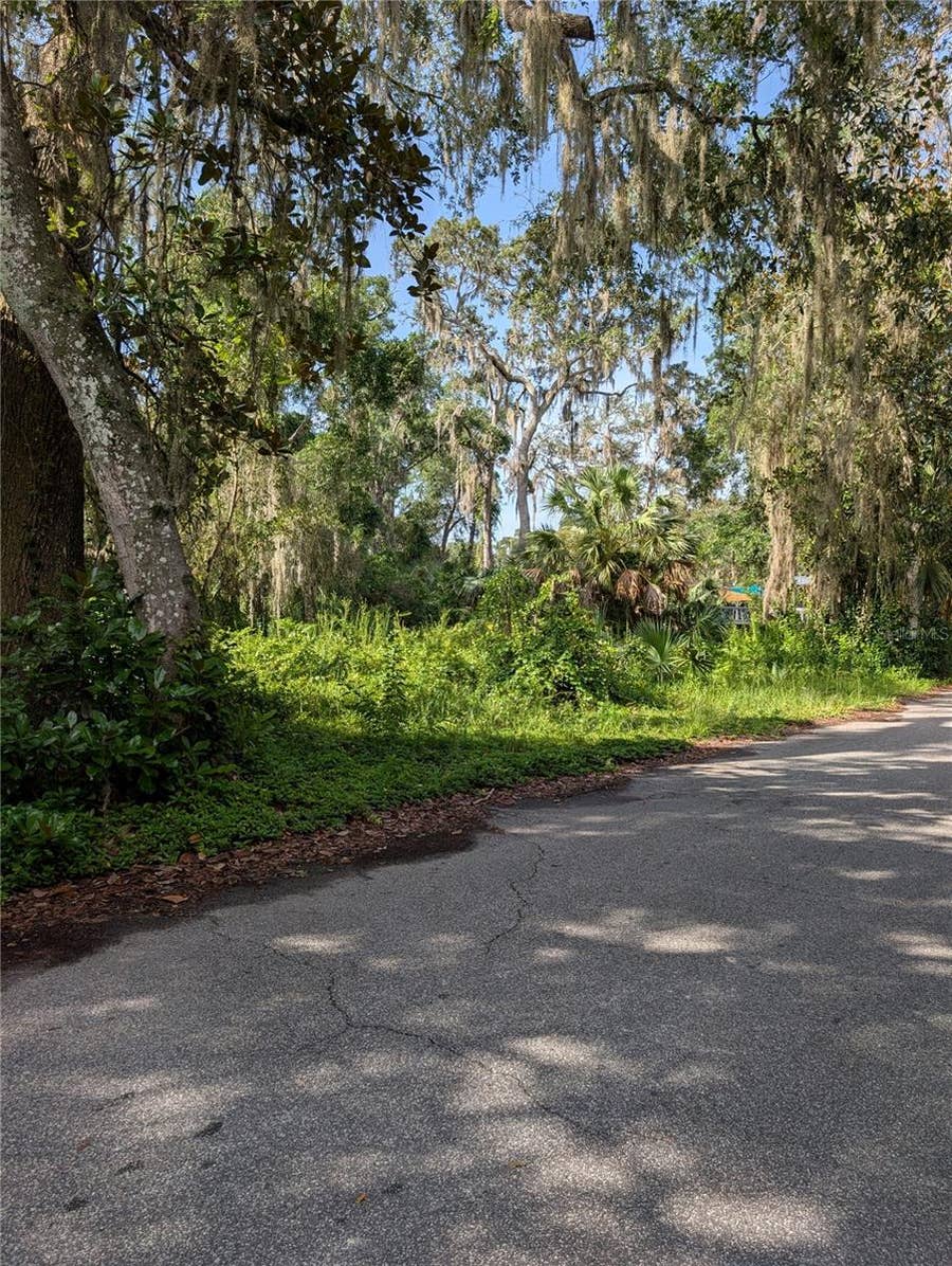 Property photo for 6650 N BEECHNUT LOOP, Hernando, FL