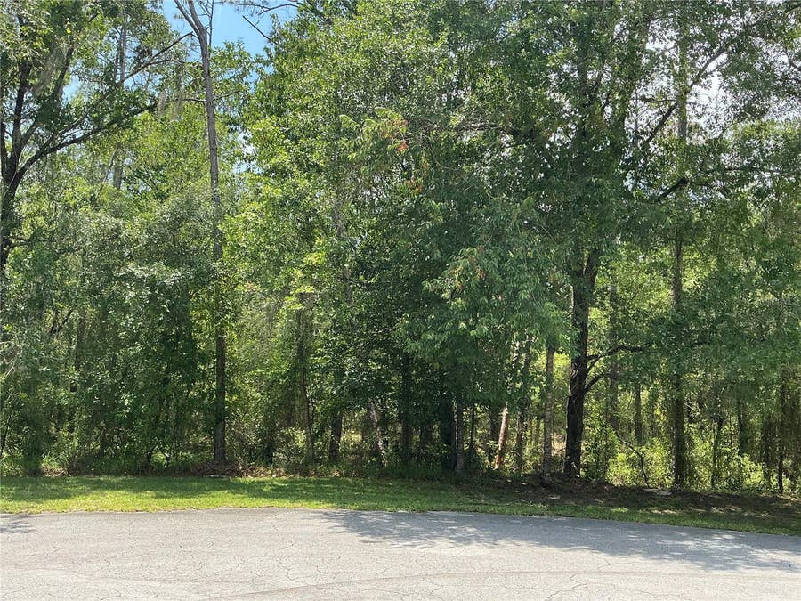 Property photo for SW 90TH PLACE, Dunnellon, FL