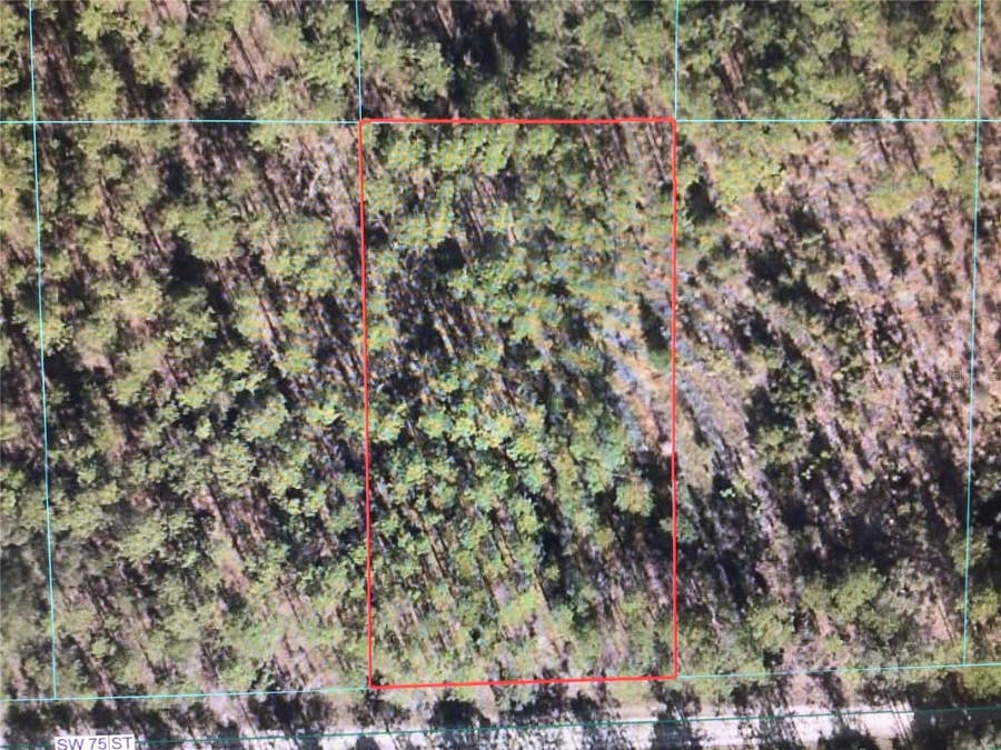 Property photo for 0 SW 75 STREET, Dunnellon, FL