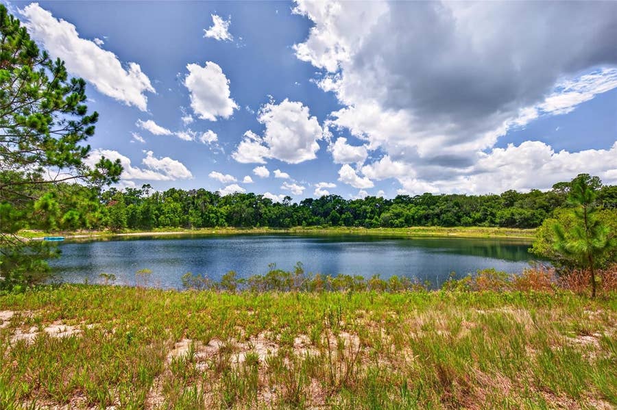 Property photo for MALAUKA LOOP, Ocklawaha, FL