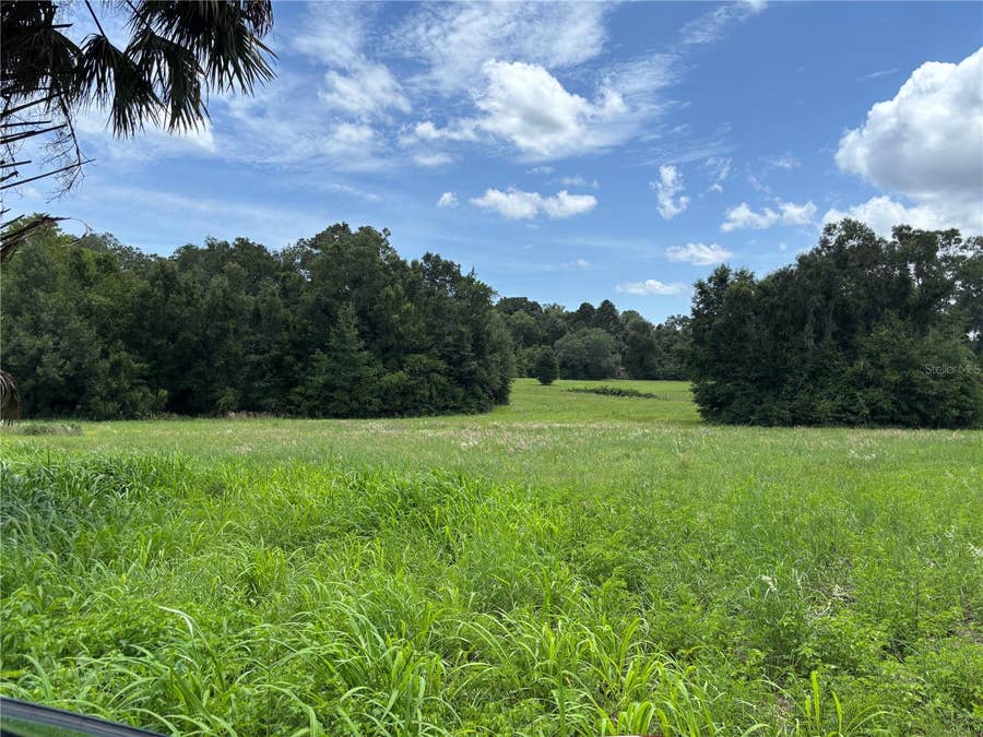 Property photo for NE 23, Citra, FL