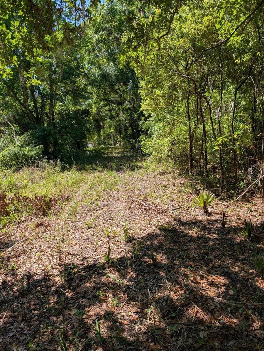 Property photo for 0 NW 202ND PLACE, Mc Intosh, FL