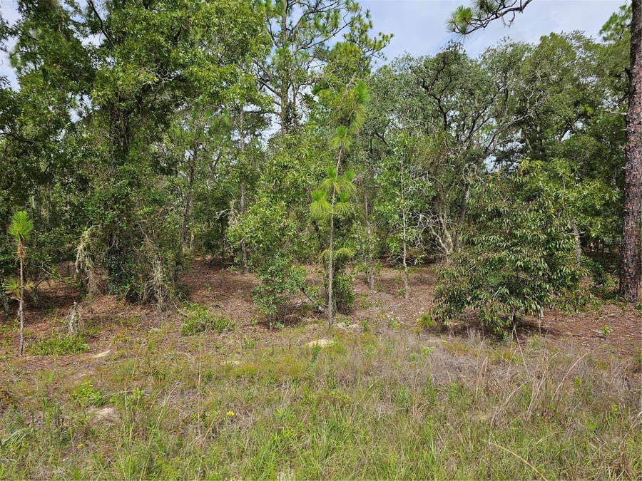 Property photo for 00 SW 122 AVENUE, Dunnellon, FL