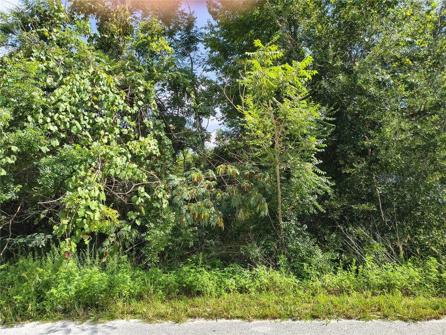 Property photo for TBD NW 6TH PLACE, Ocala, FL