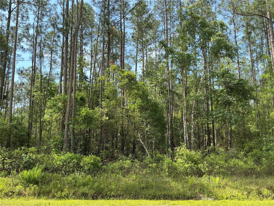 Property photo for 4425 JOYCE STREET, Hastings, FL