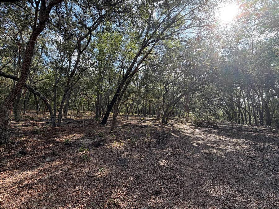 Property photo for 103 SW 53RD AVENUE, Interlachen, FL