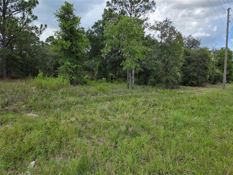 Property photo for 0000 SE STATE ROAD 121, Williston, FL