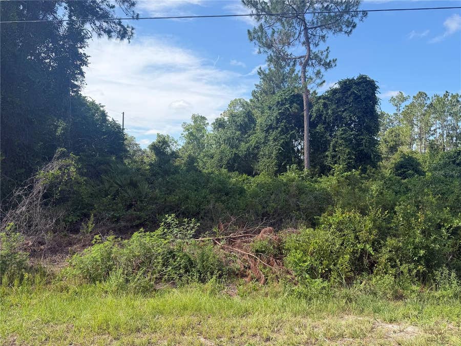 Property photo for TBD MALAUKA TERRACE, Ocklawaha, FL