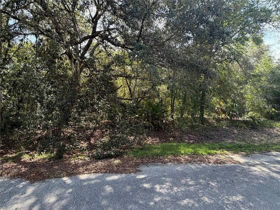 Property photo for TBD MALAUKA PASS TRAIL, Ocklawaha, FL