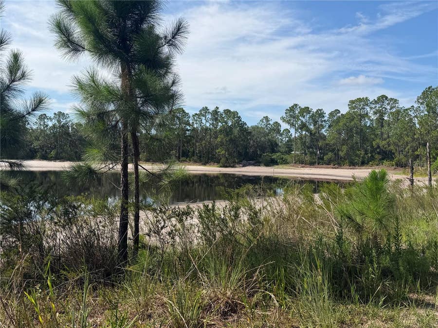 Property photo for TBD MALAUKA PASS TRAIL, Ocklawaha, FL