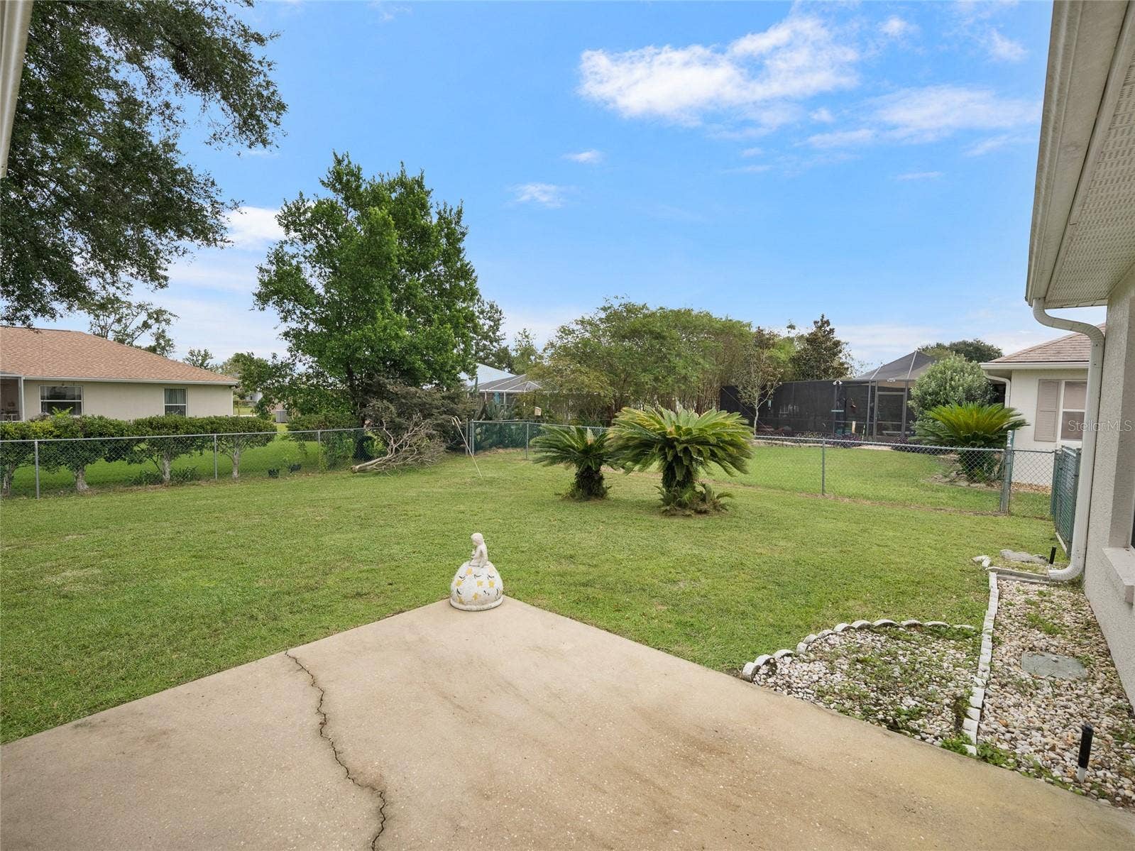 Back Yard