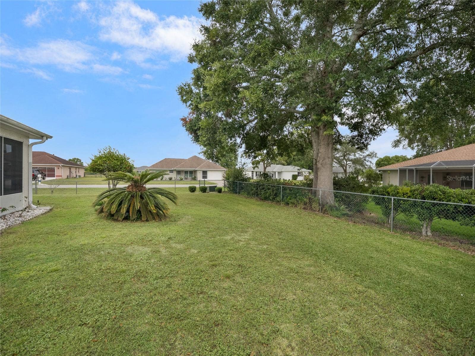 Back Yard