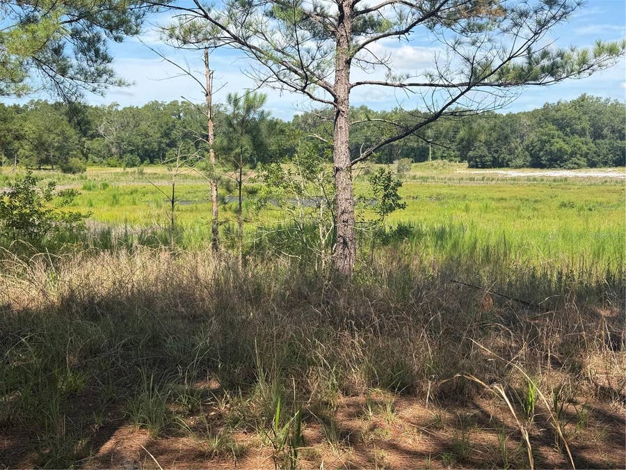 Property photo for TBD GUAVA TERRACE, Ocklawaha, FL