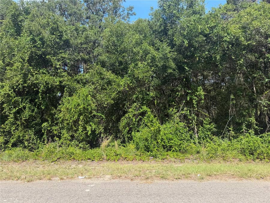 Property photo for TBD GUAVA TERRACE, Ocklawaha, FL
