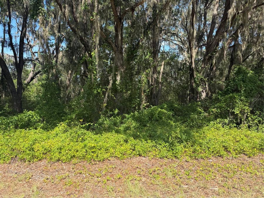 Property photo for TBD GUAVA TERRACE, Ocklawaha, FL