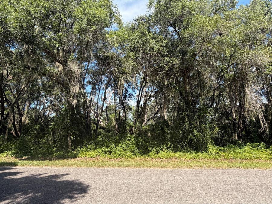 Property photo for TBD GUAVA TERRACE, Ocklawaha, FL