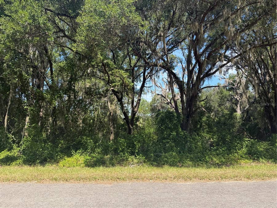 Property photo for TBD GUAVA TERRACE, Ocklawaha, FL