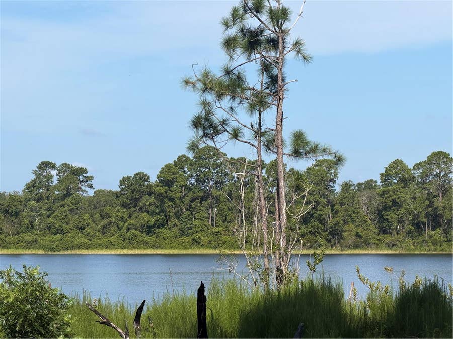 Property photo for TBD MALAUKA RADIAL, Ocklawaha, FL