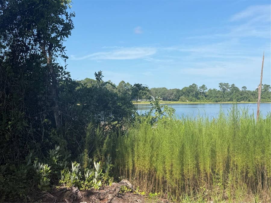 Property photo for TBD MALAUKA RADIAL, Ocklawaha, FL