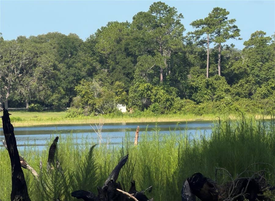 Property photo for TBD MALAUKA RADIAL, Ocklawaha, FL