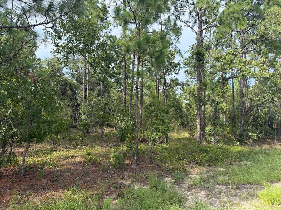 Property photo for SW 88 STREET, Dunnellon, FL