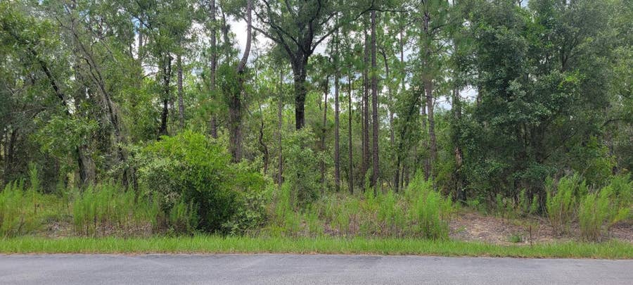 Property photo for 0 NW CHESTNUT AVENUE, Dunnellon, FL
