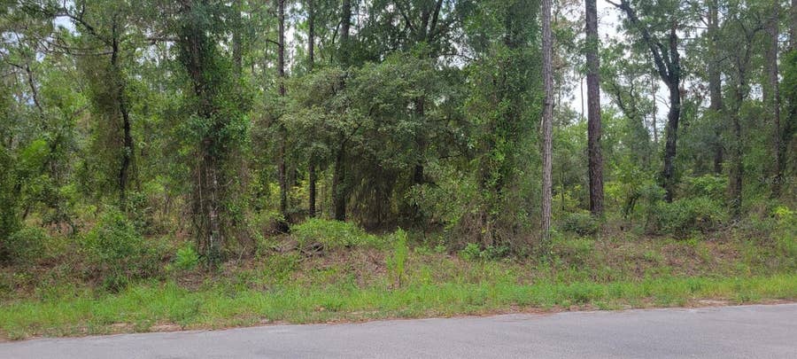 Property photo for 0 NW HIGHVIEW AVENUE, Dunnellon, FL