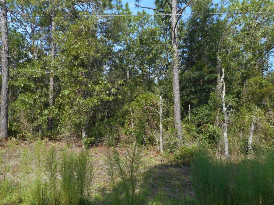 Property photo for 136 TERRACE SW, Dunnellon, FL