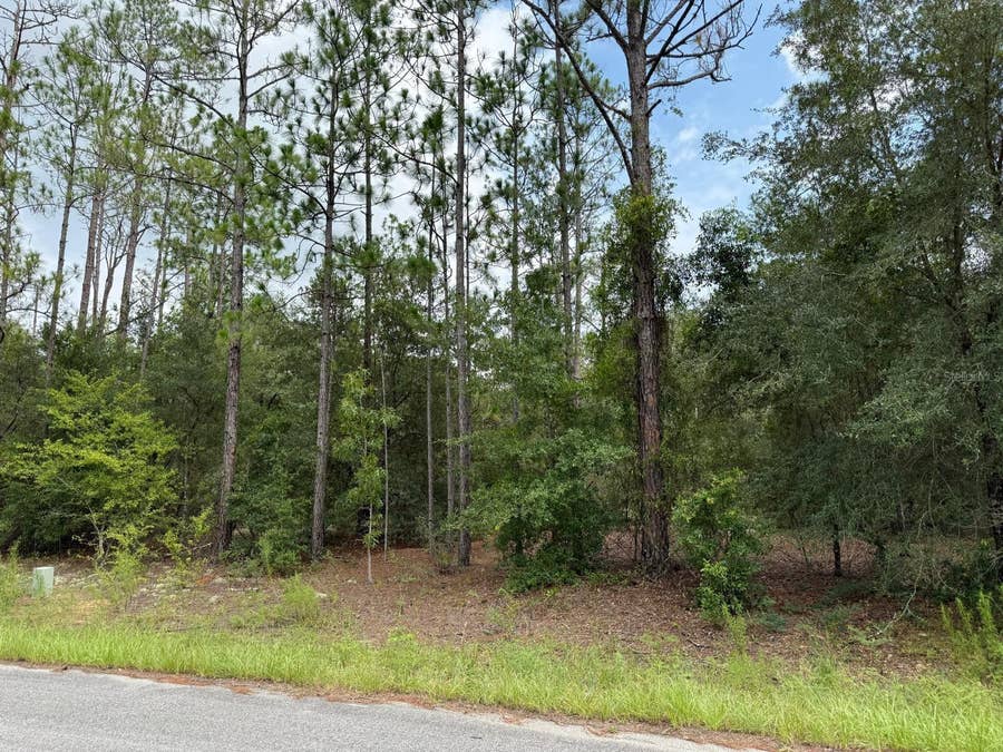 Property photo for 6461 N ELNORA WAY, Citrus Springs, FL