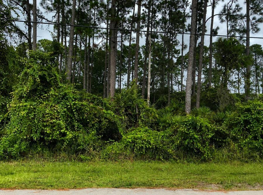 Property photo for 191 BOULDER ROCK DRIVE, Palm Coast, FL