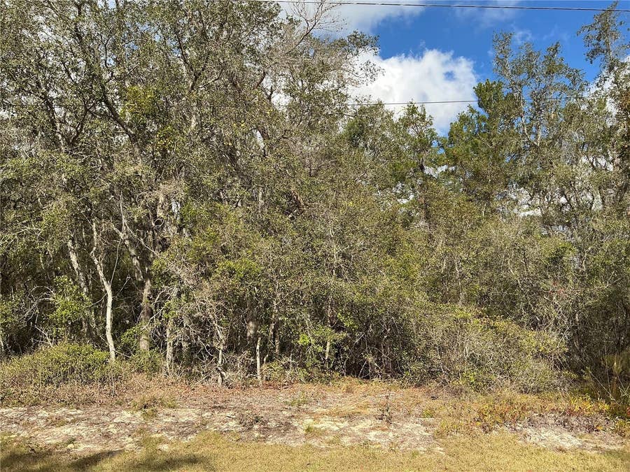 Property photo for LOT 8 FISHER TRACE, Ocklawaha, FL