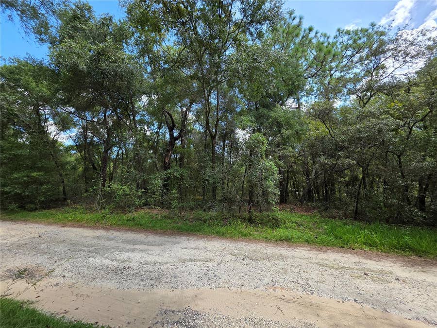 Property photo for 00 SE 105TH TERRACE, Ocklawaha, FL