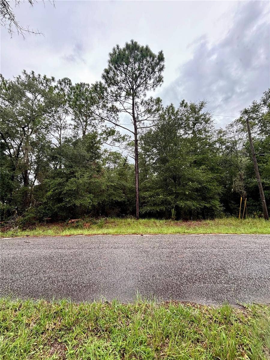 Property photo for Lot 28 SW 206 CIRCLE, Dunnellon, FL