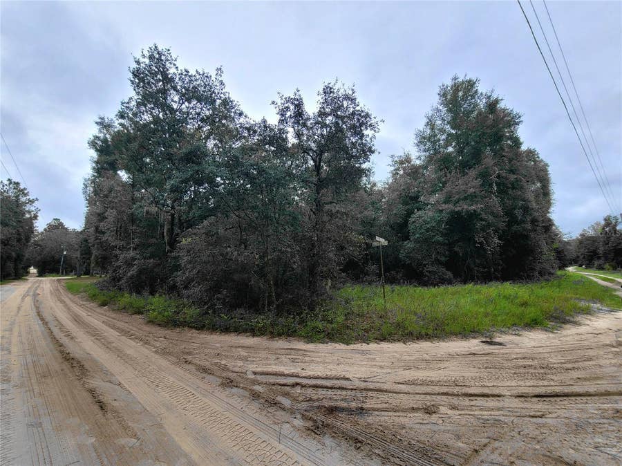 Property photo for TBD NE 81ST TER DRIVE, Bronson, FL