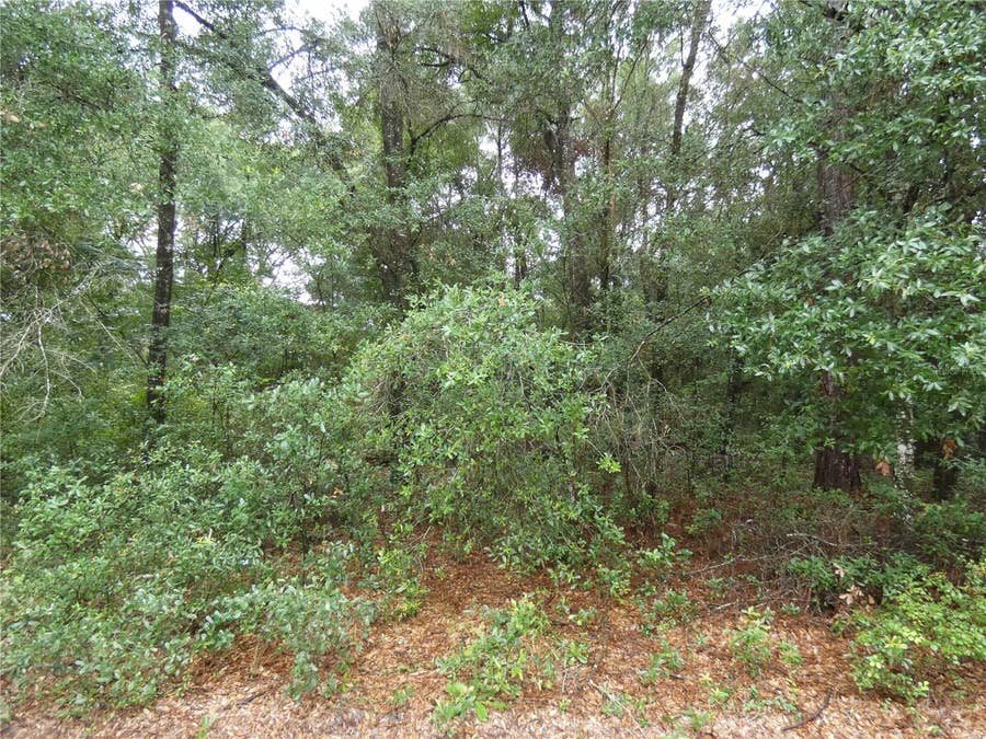 Property photo for TBD SW 151 ST PL, Dunnellon, FL