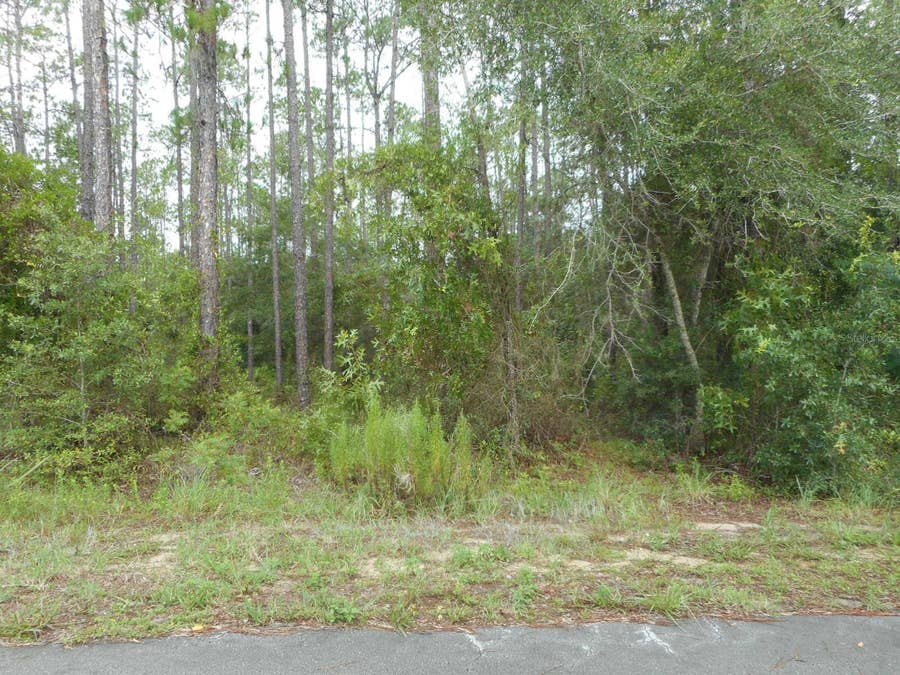Property photo for Lot 5 SW SOUTHVIEW COURT, Dunnellon, FL