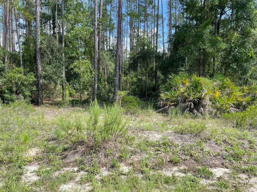 Property photo for LOT 23 SW TIGER LAKE BOULEVARD W, Dunnellon, FL