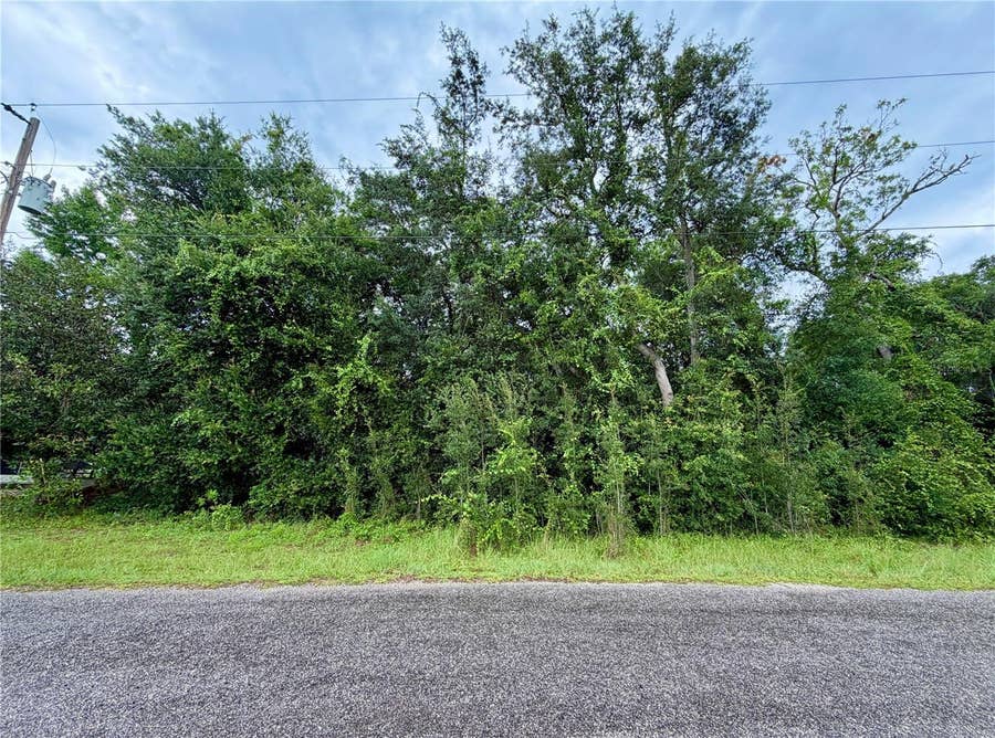 Property photo for 0 SE 175TH TER RD, Silver Springs, FL