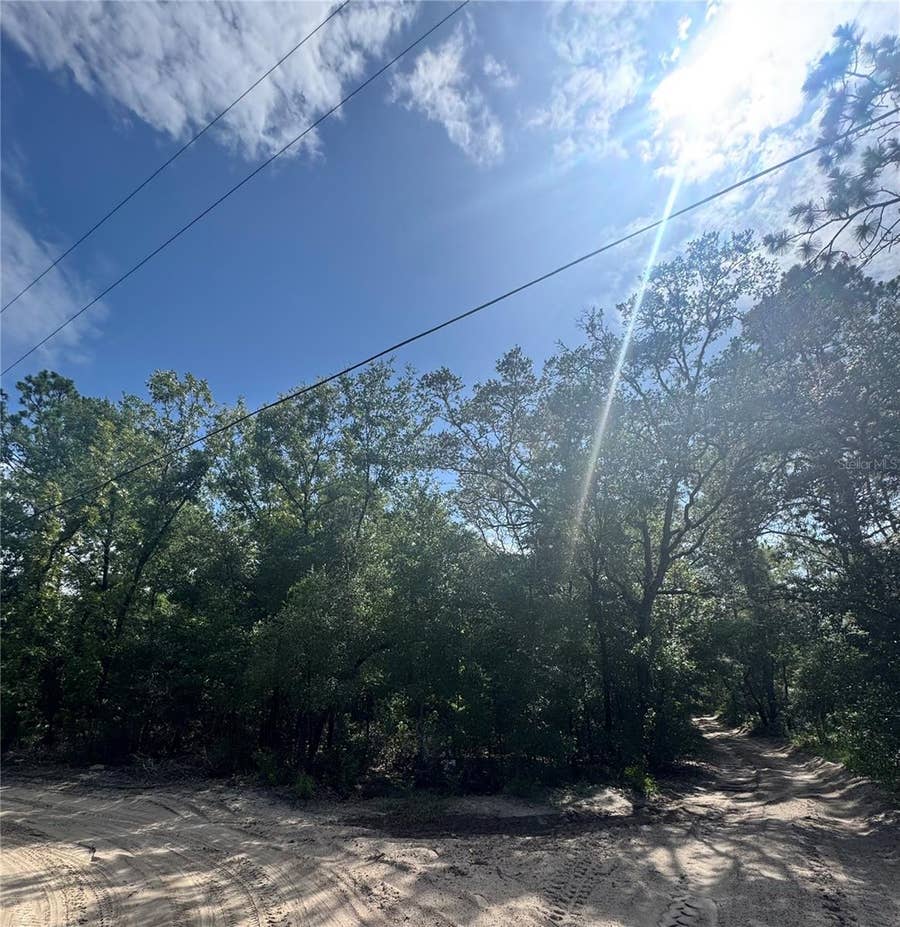 Property photo for TBD SW 65TH AVENUE, Dunnellon, FL