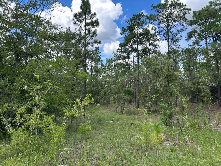 Property photo for TBD SE 26TH STREET, Morriston, FL