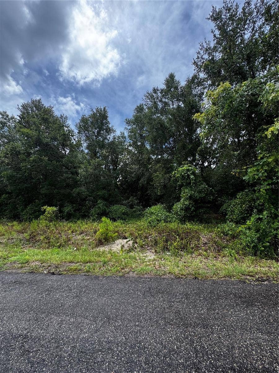 Property photo for 00 SE 115TH PLACE RD., Ocklawaha, FL