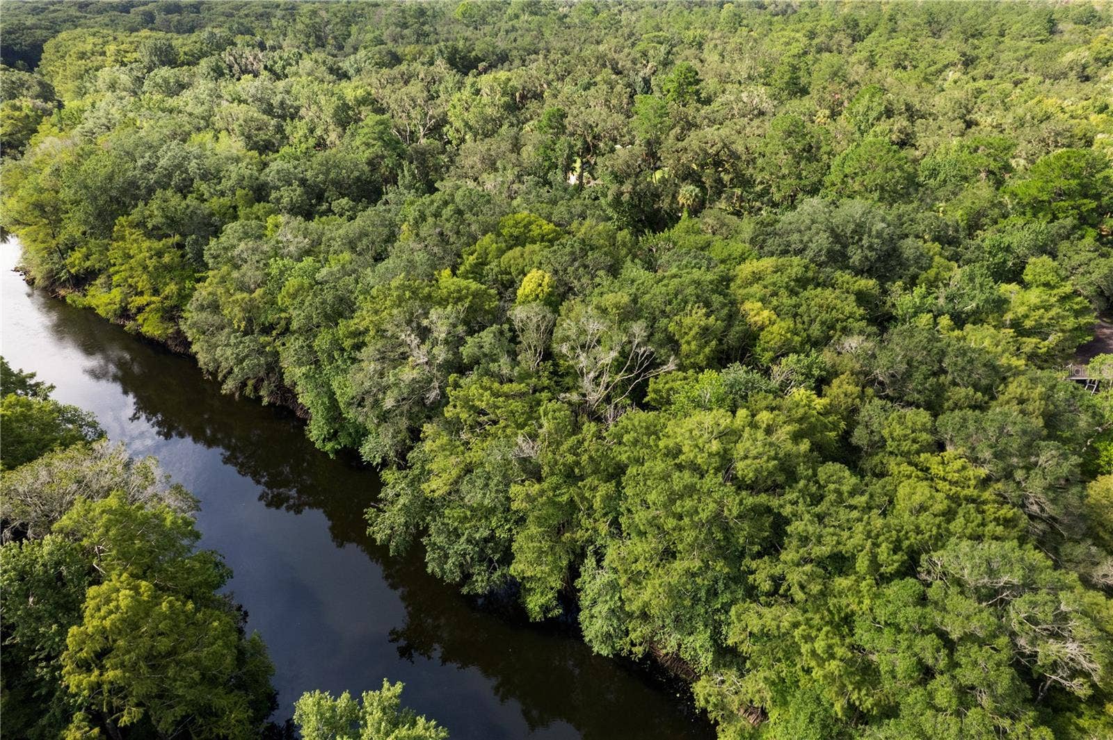 6409 E RIVER ROAD, Hernando, FL 34442 6409 E RIVER ROAD, Hernando, FL 34442
