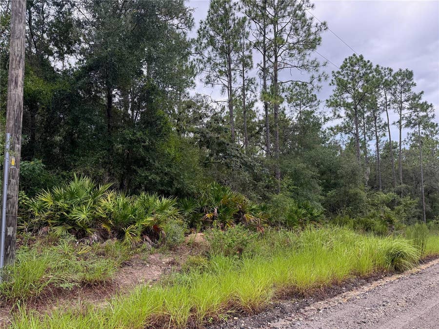 Property photo for 175 COURT, Dunnellon, FL
