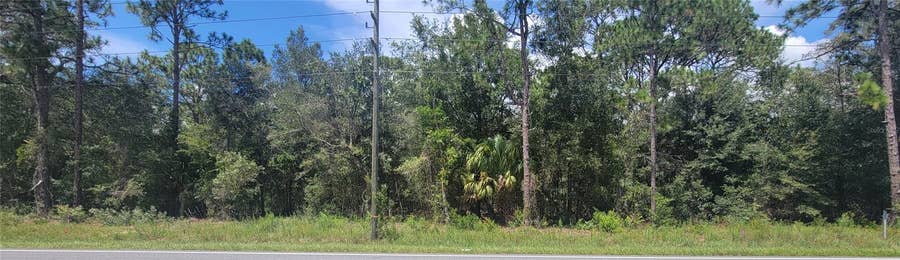Property photo for 7481 W DUNNELLON ROAD, Dunnellon, FL
