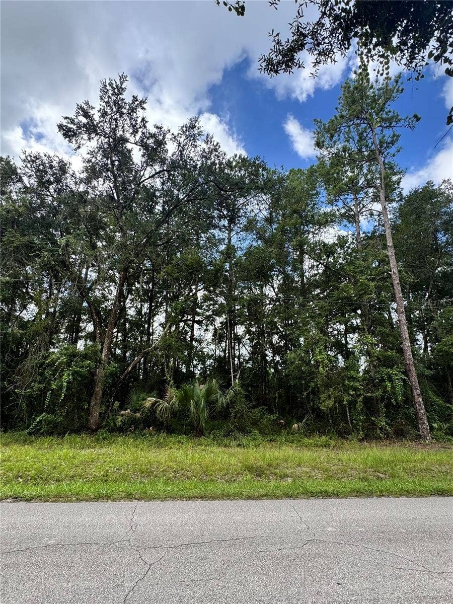 Property photo for TBD NE 225TH STREET, Fort Mc Coy, FL
