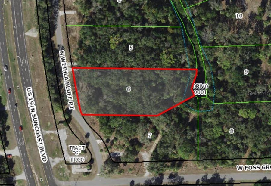 Property photo for 11043 N WITHLA BLUFF POINT, Inglis, FL