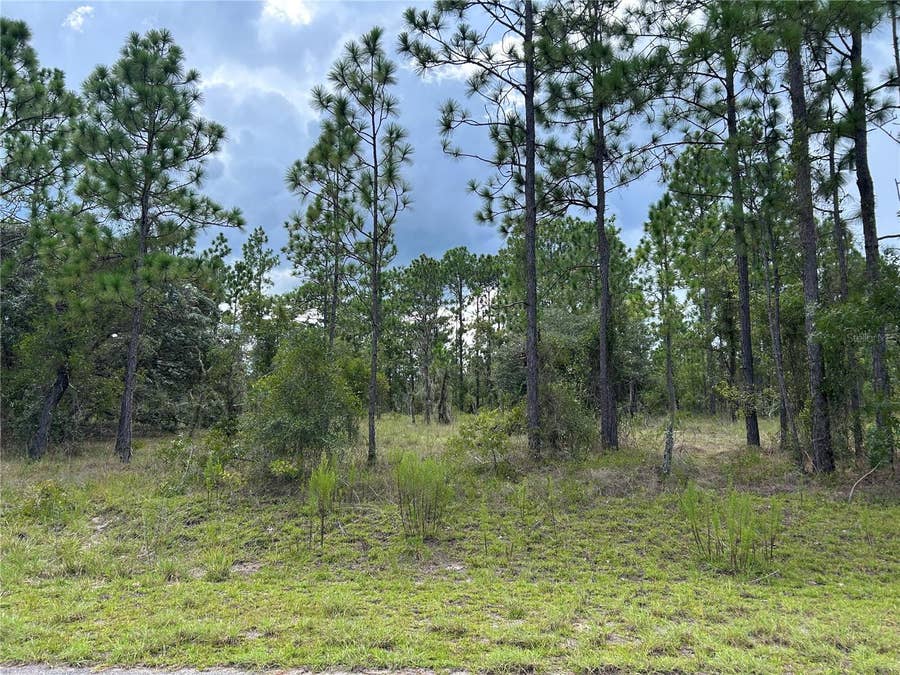 Property photo for TBD SE 138TH AVENUE, Dunnellon, FL